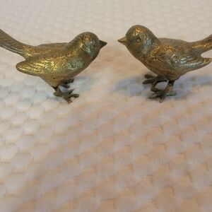 small  brass  sparrows